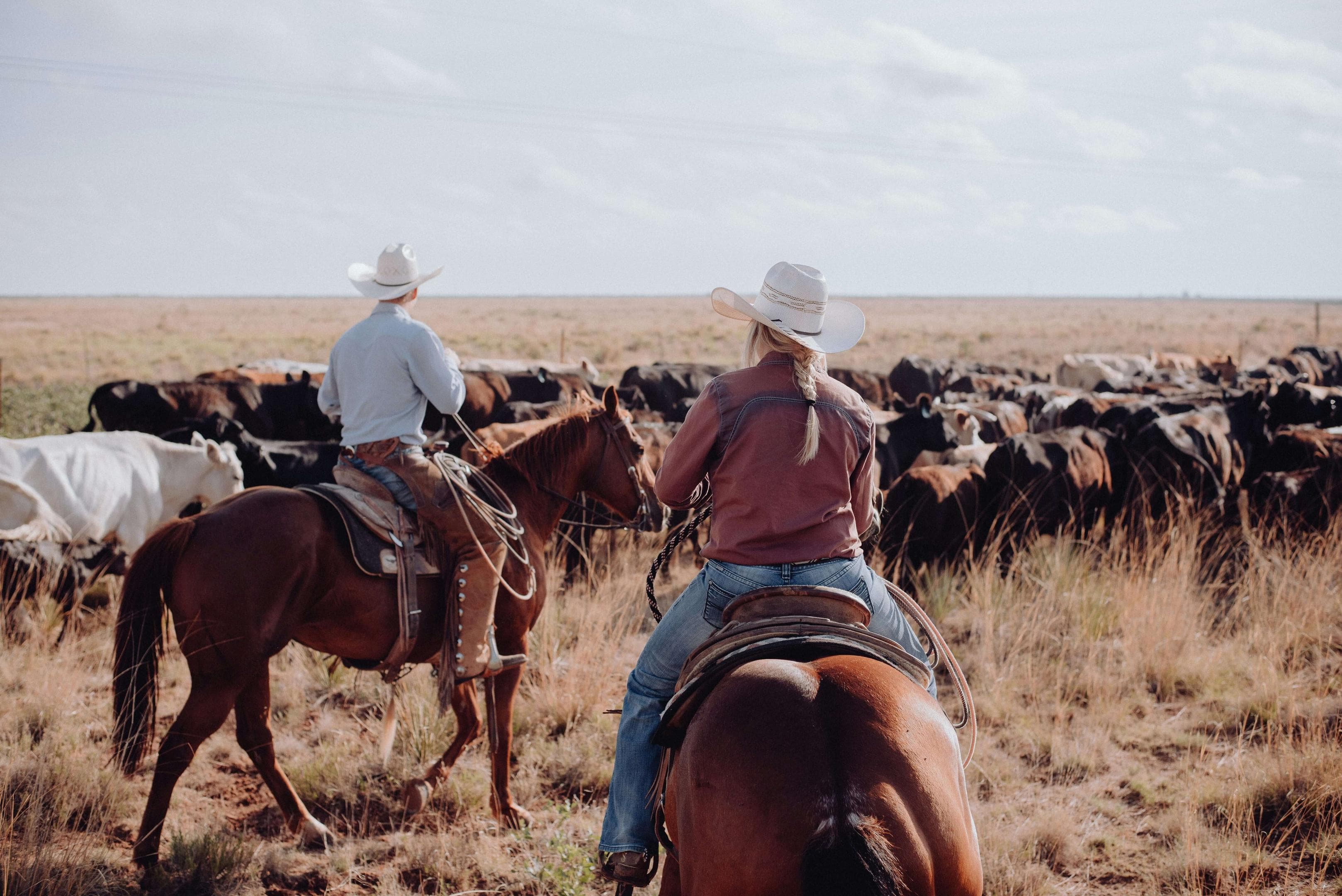 Value of Non Producing Mineral Rights: What Owners Need to Know in 2026