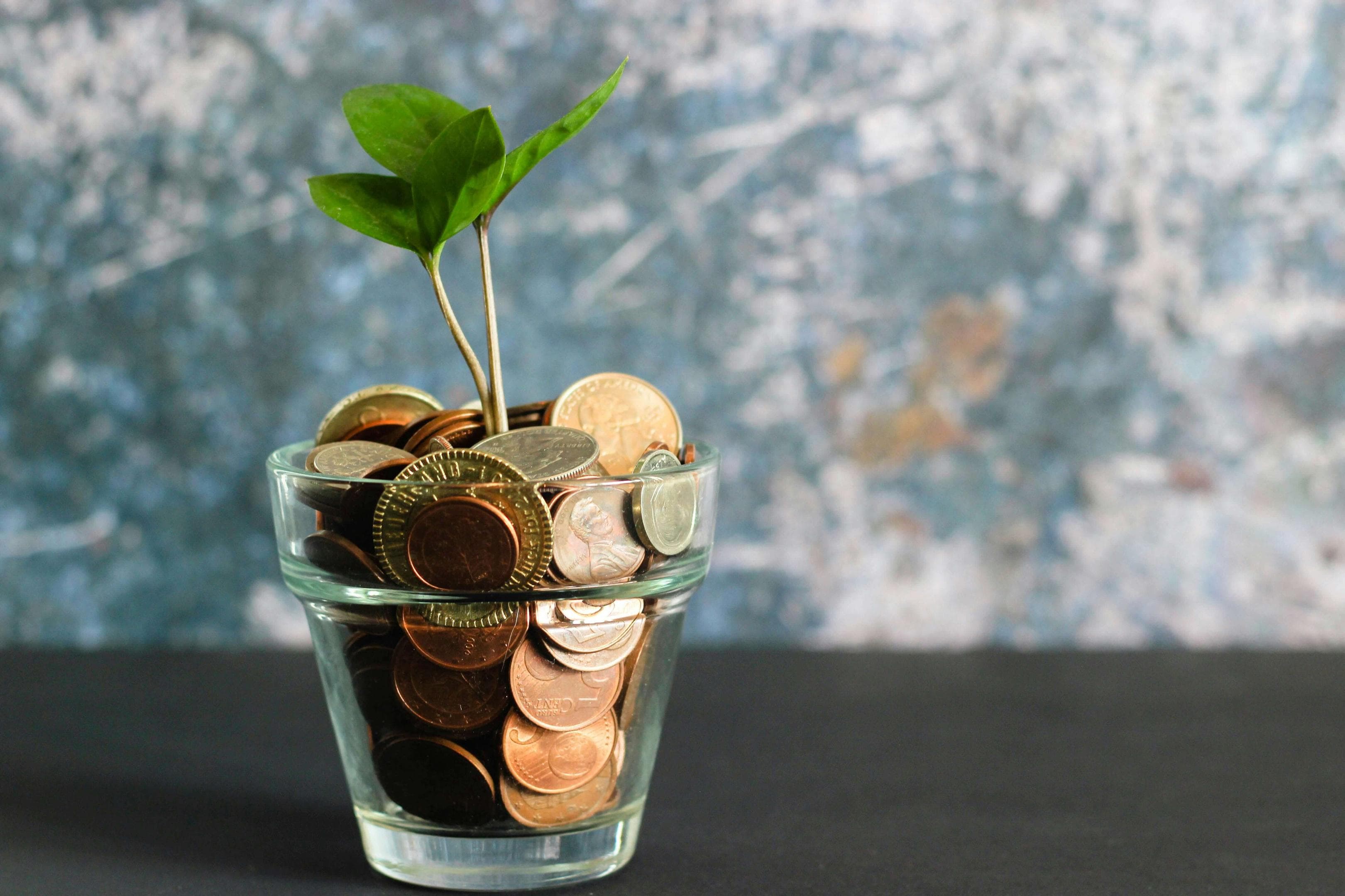 A money plant growing from coins.