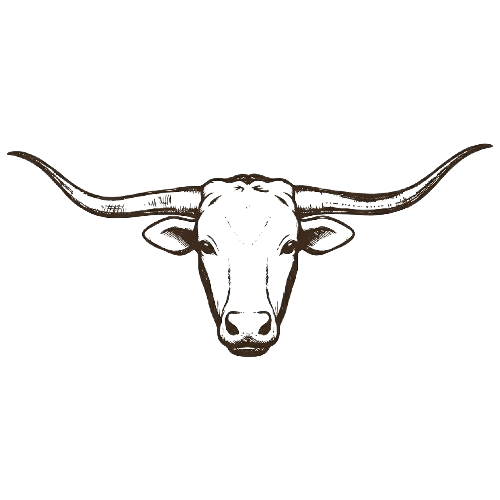 Longhorn Minerals